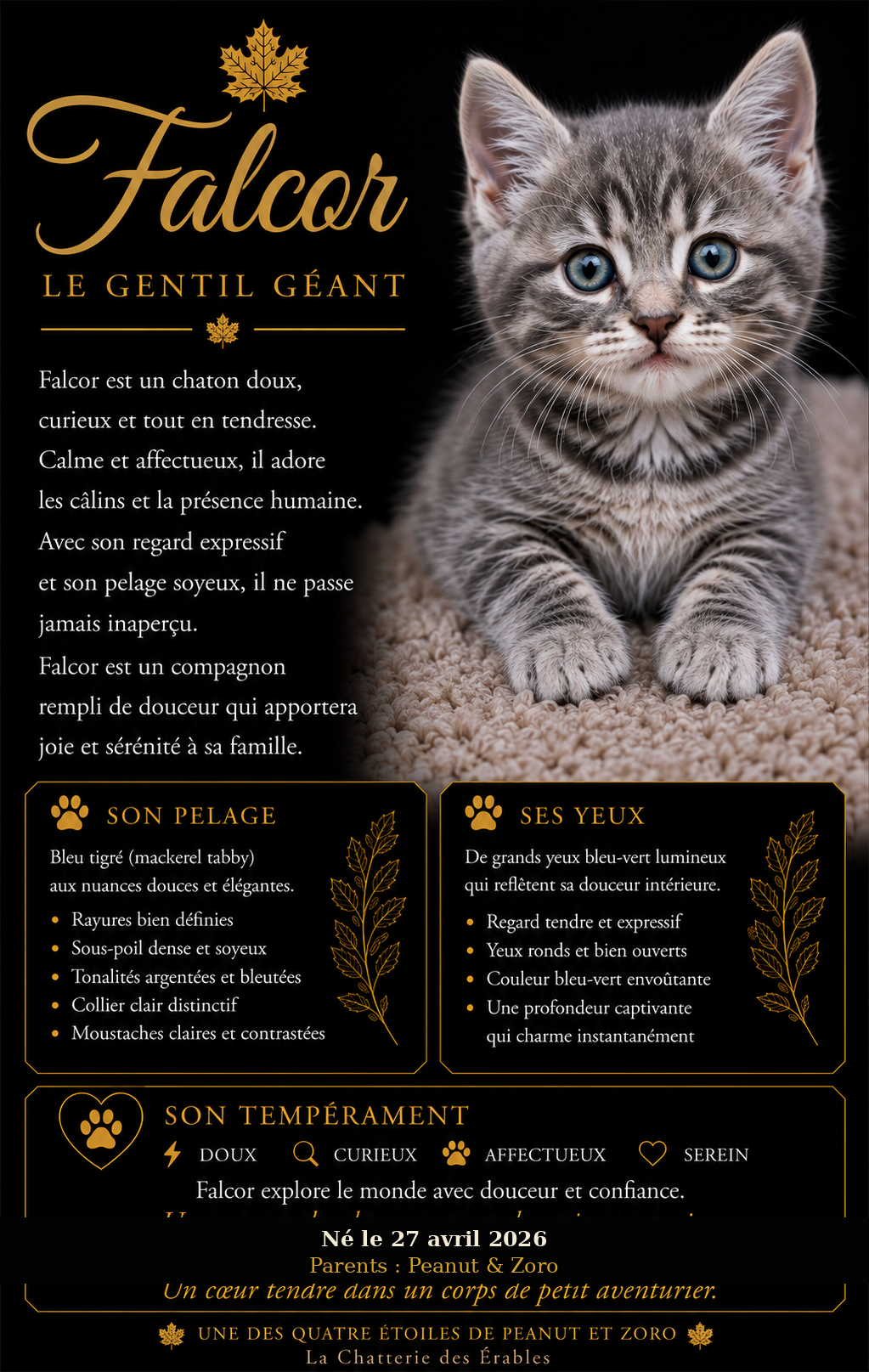 Fiche officielle de Falcor